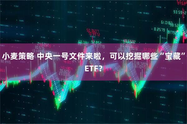 小麦策略 中央一号文件来啦，可以挖掘哪些“宝藏”ETF？
