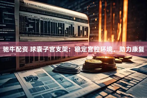驰牛配资 球囊子宫支架：稳定宫腔环境，助力康复