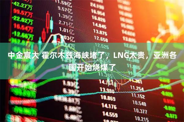 中金宸大 霍尔木兹海峡堵了，LNG太贵，亚洲各国开始烧煤了