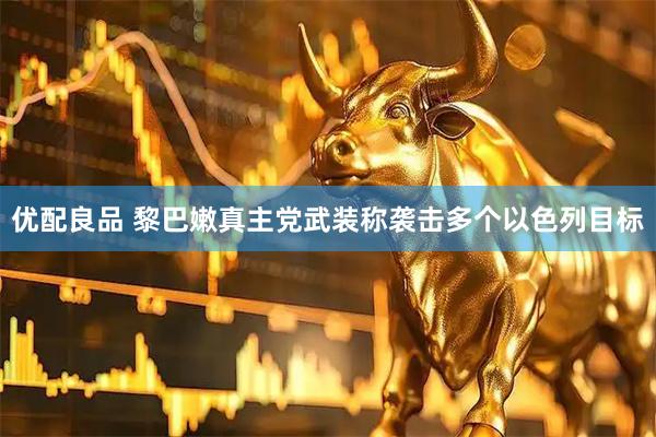 优配良品 黎巴嫩真主党武装称袭击多个以色列目标