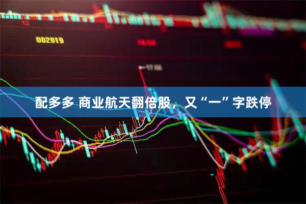 配多多 商业航天翻倍股，又“一”字跌停