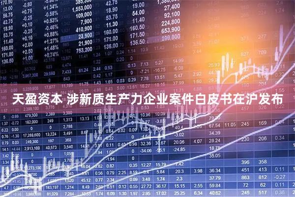 天盈资本 涉新质生产力企业案件白皮书在沪发布