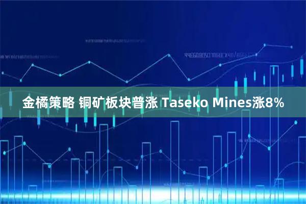 金橘策略 铜矿板块普涨 Taseko Mines涨8%