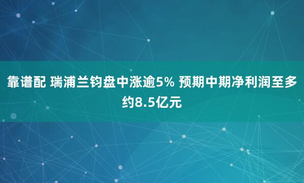 靠谱配 瑞浦兰钧盘中涨逾5% 预期中期净利润至多约8.5亿元