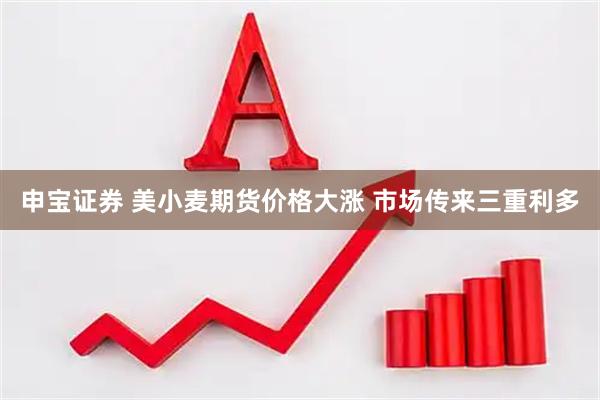申宝证券 美小麦期货价格大涨 市场传来三重利多