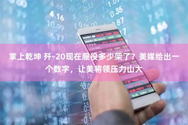 掌上乾坤 歼-20现在服役多少架了？美媒给出一个数字，让美将领压力山大