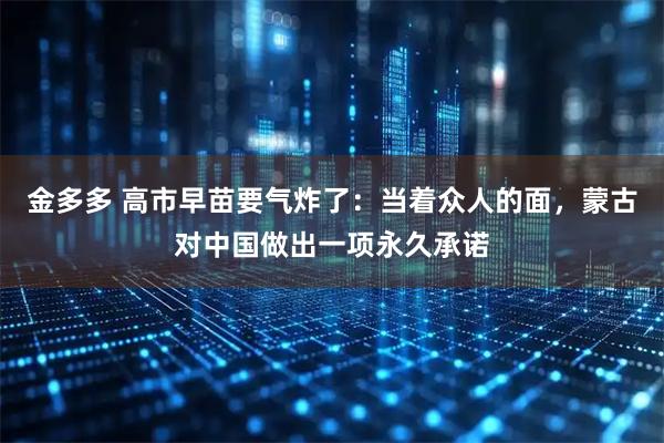 金多多 高市早苗要气炸了：当着众人的面，蒙古对中国做出一项永久承诺