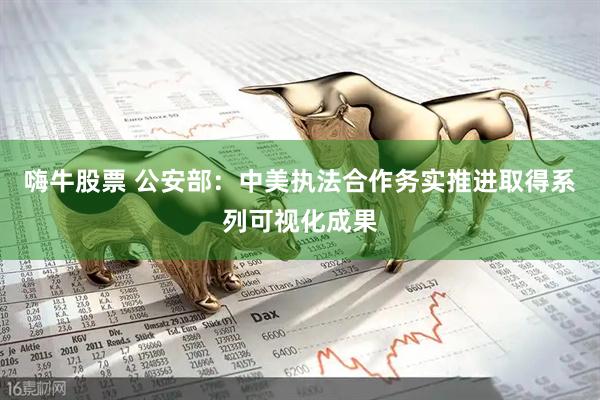 嗨牛股票 公安部：中美执法合作务实推进取得系列可视化成果