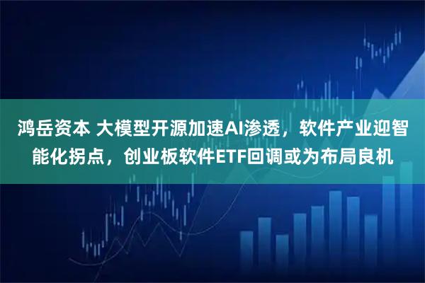 鸿岳资本 大模型开源加速AI渗透，软件产业迎智能化拐点，创业板软件ETF回调或为布局良机